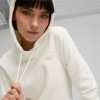 PUMA ESS + EMBROIDERY HOODIE FL 670004 99 ΕΚΡΟΥ