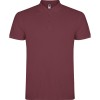 ROLY T SHIRT ΠΟΛΟ STAR PO6638 169 ΒΥΣΣΙΝΗ