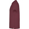ROLY T SHIRT ΠΟΛΟ STAR PO6638 169 ΒΥΣΣΙΝΗ