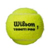 WILSON TRINITI PRO TENNIS BALLS X 4  WR8204801
